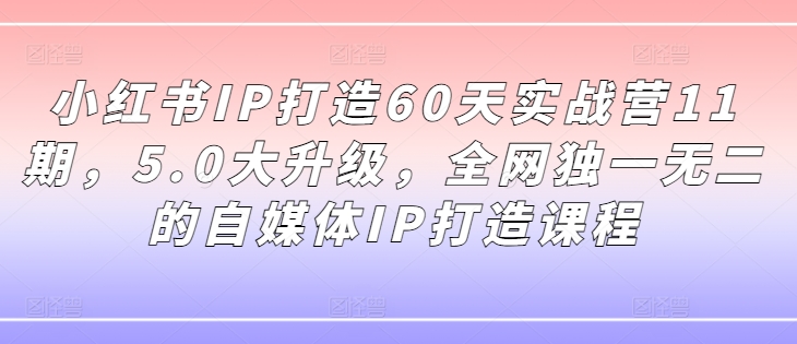 小红书IP打造60天实战营11期，5.0大升级，全网独一无二的自媒体IP打造课程网赚项目-副业赚钱-互联网创业-资源整合羊师傅网赚