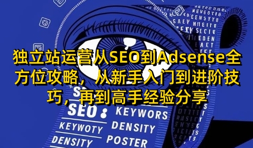 独立站运营从SEO到Adsense全方位攻略，从新手入门到进阶技巧，再到高手经验分享网赚项目-副业赚钱-互联网创业-资源整合羊师傅网赚