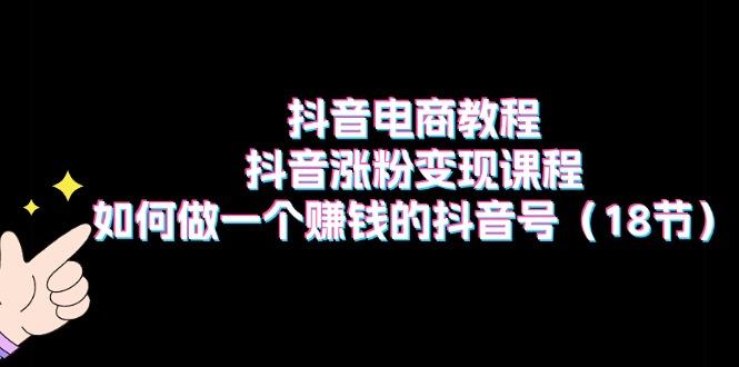 抖音电商教程：抖音涨粉变现课程：如何做一个赚钱的抖音号(18节网赚项目-副业赚钱-互联网创业-资源整合羊师傅网赚