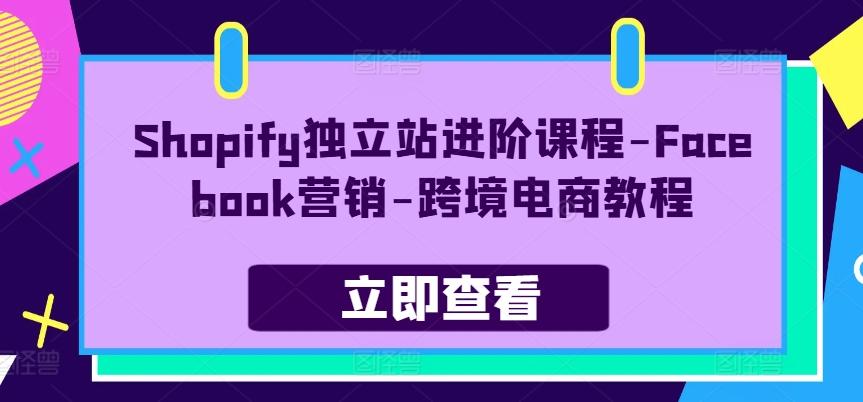 Shopify独立站进阶课程-Facebook营销-跨境电商教程网赚项目-副业赚钱-互联网创业-资源整合羊师傅网赚