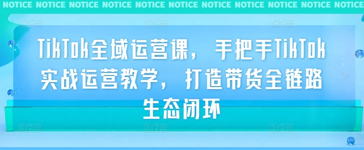 TikTok全域运营课，手把手TikTok实战运营教学，打造带货全链路生态闭环网赚项目-副业赚钱-互联网创业-资源整合羊师傅网赚