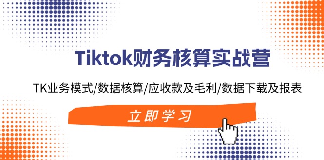 Tiktok财务核算实战营：TK业务模式/数据核算/应收款及毛利/数据下载及报表网赚项目-副业赚钱-互联网创业-资源整合羊师傅网赚