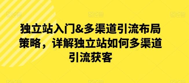 独立站入门&多渠道引流布局策略，详解独立站如何多渠道引流获客网赚项目-副业赚钱-互联网创业-资源整合羊师傅网赚