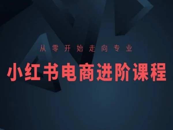 从零开始走向专业，小红书电商进阶课程网赚项目-副业赚钱-互联网创业-资源整合羊师傅网赚