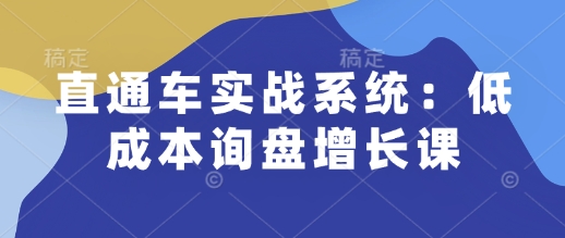 直通车实战系统：低成本询盘增长课，让个人通过技能实现升职加薪，让企业低成本获客，订单源源不断网赚项目-副业赚钱-互联网创业-资源整合羊师傅网赚