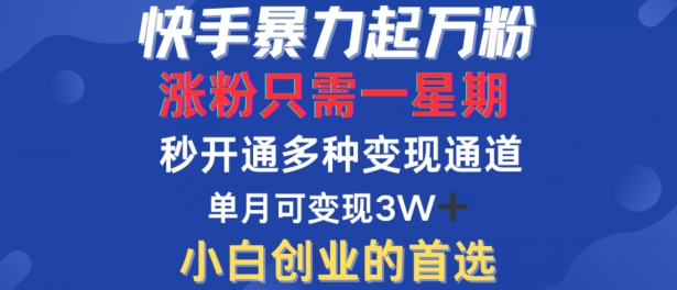 快手暴力起万粉，涨粉只需一星期，多种变现模式，直接秒开万合，单月变现过W【揭秘】网赚项目-副业赚钱-互联网创业-资源整合羊师傅网赚