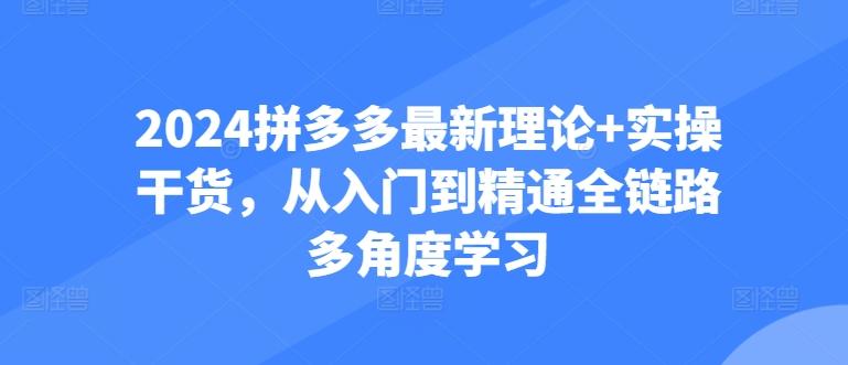 2024拼多多最新理论+实操干货，从入门到精通全链路多角度学习网赚项目-副业赚钱-互联网创业-资源整合羊师傅网赚