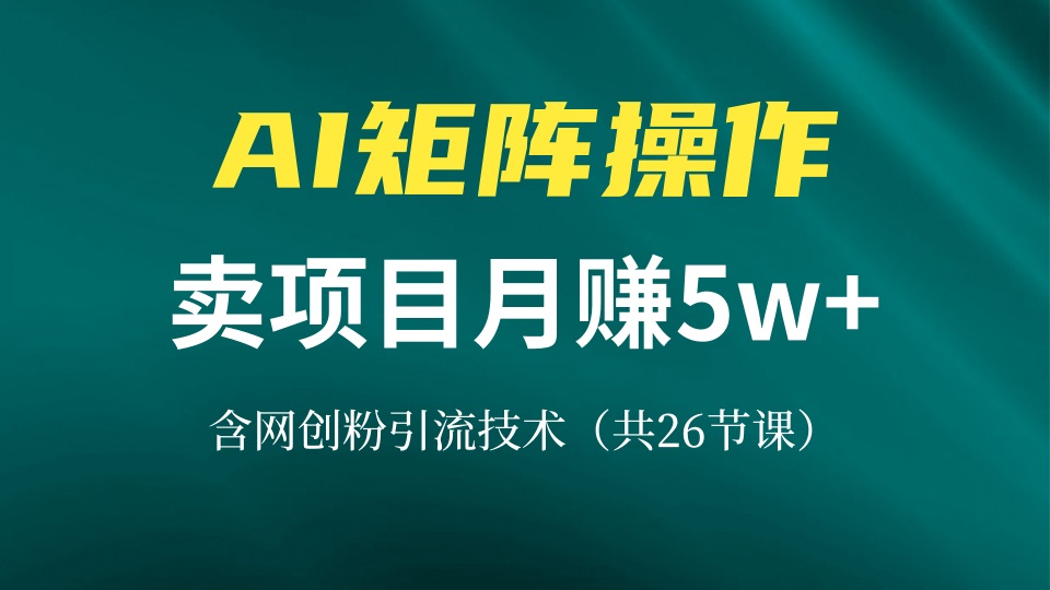 网创IP打造课，借助AI卖项目月赚5万+，含引流技术(共26节课网赚项目-副业赚钱-互联网创业-资源整合羊师傅网赚