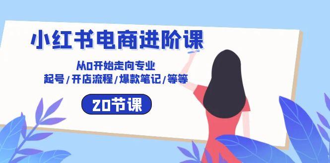 小红书电商进阶课：从0开始走向专业 起号/开店流程/爆款笔记/等等(20节网赚项目-副业赚钱-互联网创业-资源整合羊师傅网赚