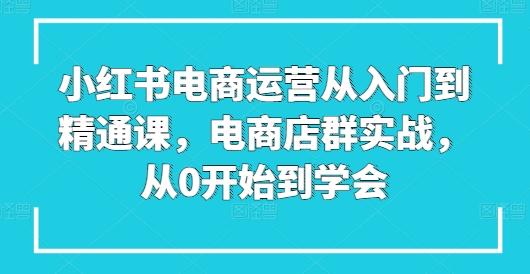 小红书电商运营从入门到精通课，电商店群实战，从0开始到学会网赚项目-副业赚钱-互联网创业-资源整合羊师傅网赚