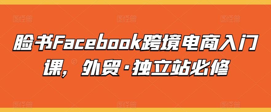 脸书Facebook跨境电商入门课，外贸·独立站必修网赚项目-副业赚钱-互联网创业-资源整合羊师傅网赚