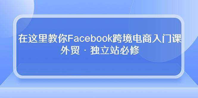 在这里教你Facebook跨境电商入门课，外贸·独立站必修网赚项目-副业赚钱-互联网创业-资源整合羊师傅网赚