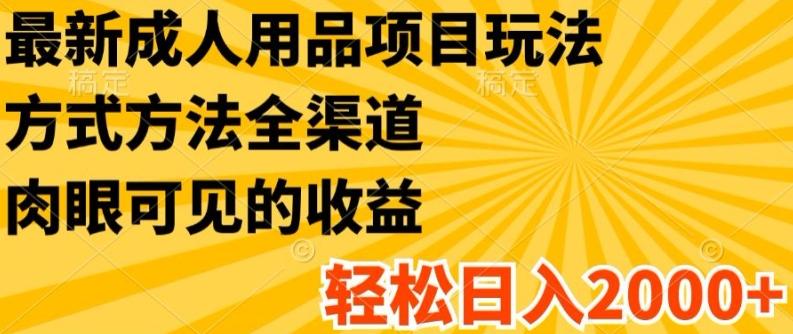 最新成人用品项目玩法，方式方法全渠道，轻松日入2K+【揭秘】网赚项目-副业赚钱-互联网创业-资源整合羊师傅网赚