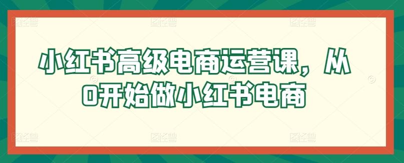 小红书高级电商运营课，从0开始做小红书电商网赚项目-副业赚钱-互联网创业-资源整合羊师傅网赚