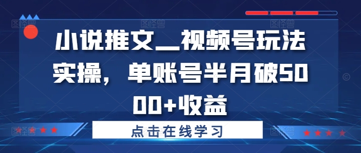 小说推文—视频号玩法实操，单账号半月破5000+收益网赚项目-副业赚钱-互联网创业-资源整合羊师傅网赚