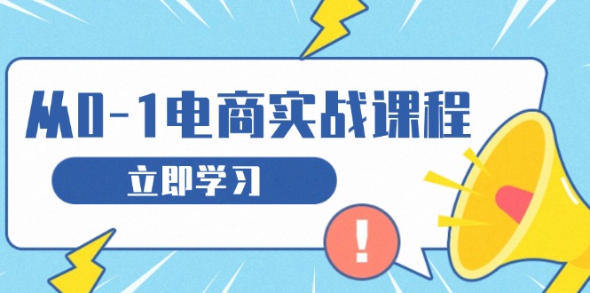 从零做电商实战课程，教你如何获取访客、选品布局，搭建基础运营团队网赚项目-副业赚钱-互联网创业-资源整合羊师傅网赚