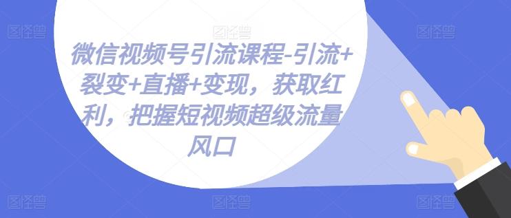 微信视频号引流课程-引流+裂变+直播+变现，获取红利，把握短视频超级流量风口网赚项目-副业赚钱-互联网创业-资源整合羊师傅网赚