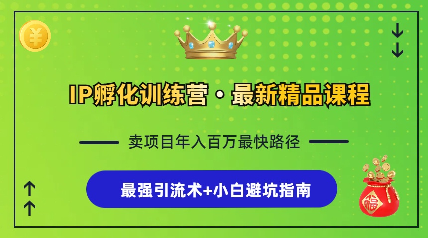 IP孵化训练营，知识付费全流程+最强引流术+小白避坑指南网赚项目-副业赚钱-互联网创业-资源整合羊师傅网赚