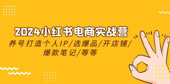 2024小红书电商实战营，养号打造IP/选爆品/开店铺/爆款笔记/等等(24节)网赚项目-副业赚钱-互联网创业-资源整合羊师傅网赚