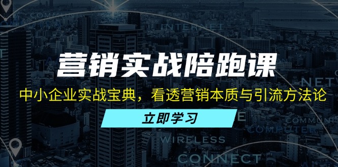 营销实战陪跑课：中小企业实战宝典，看透营销本质与引流方法论网赚项目-副业赚钱-互联网创业-资源整合羊师傅网赚