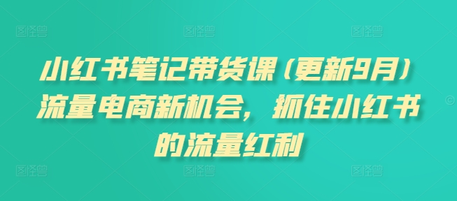 小红书笔记带货课(更新9月)流量电商新机会，抓住小红书的流量红利网赚项目-副业赚钱-互联网创业-资源整合羊师傅网赚