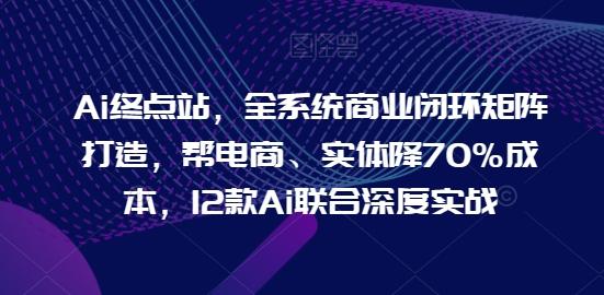 Ai终点站，全系统商业闭环矩阵打造，帮电商、实体降70%成本，12款Ai联合深度实战网赚项目-副业赚钱-互联网创业-资源整合羊师傅网赚