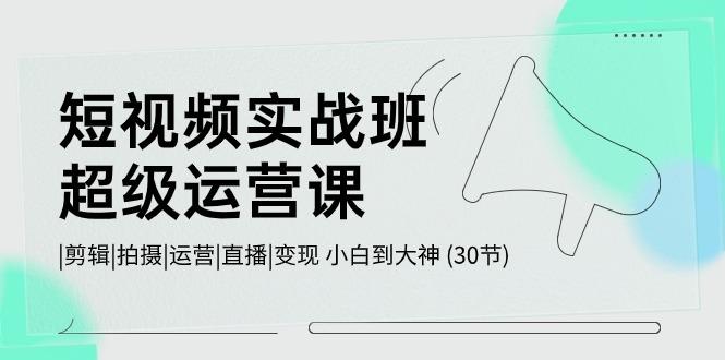 短视频实战班超级运营课 |剪辑|拍摄|运营|直播|变现 小白到大神 (30节)网赚项目-副业赚钱-互联网创业-资源整合羊师傅网赚