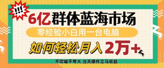 6亿群体蓝海市场，零经验小白用一台电脑，如何轻松月入过w【揭秘】网赚项目-副业赚钱-互联网创业-资源整合羊师傅网赚