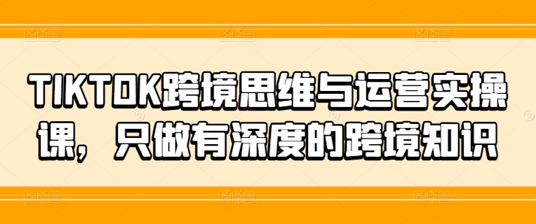 TIKTOK跨境思维与运营实操课，只做有深度的跨境知识网赚项目-副业赚钱-互联网创业-资源整合羊师傅网赚