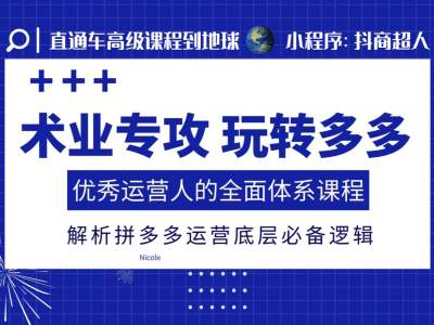 术业专攻玩转多多，优秀运营人的全面体系课程，解析拼多多运营底层必备逻辑网赚项目-副业赚钱-互联网创业-资源整合羊师傅网赚