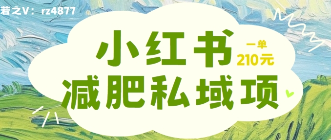 小红书减肥粉，私域变现项目，一单就达210元，小白也能轻松上手【揭秘】网赚项目-副业赚钱-互联网创业-资源整合羊师傅网赚