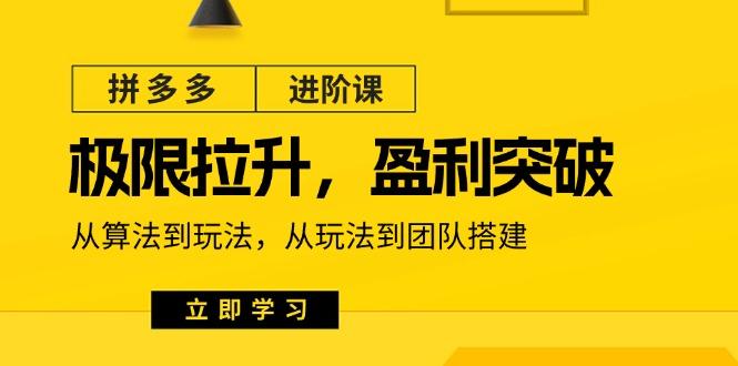 拼多多·进阶课：极限拉升/盈利突破：从算法到玩法 从玩法到团队搭建-18节网赚项目-副业赚钱-互联网创业-资源整合羊师傅网赚