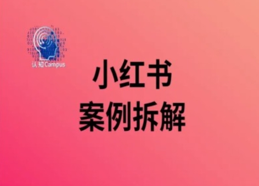 小红书案例拆解，深度解读小红书40万粉网赚项目-副业赚钱-互联网创业-资源整合羊师傅网赚