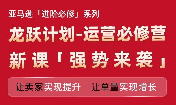 亚马逊进阶必修系列，龙跃计划-运营必修营新课，让卖家实现提升 让单量实现增长网赚项目-副业赚钱-互联网创业-资源整合羊师傅网赚