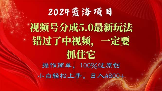 2024蓝海项目，视频号分成计划5.0最新玩法，错过了中视频，一定要抓住…网赚项目-副业赚钱-互联网创业-资源整合羊师傅网赚