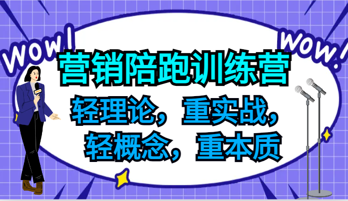 营销陪跑训练营，轻理论，重实战，轻概念，重本质，适合中小企业和初创企业的老板网赚项目-副业赚钱-互联网创业-资源整合羊师傅网赚