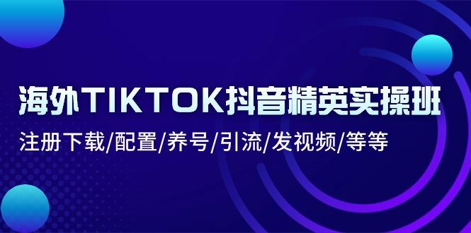 海外TIKTOK抖音精英实操班：注册下载/配置/养号/引流/发视频/等等网赚项目-副业赚钱-互联网创业-资源整合羊师傅网赚