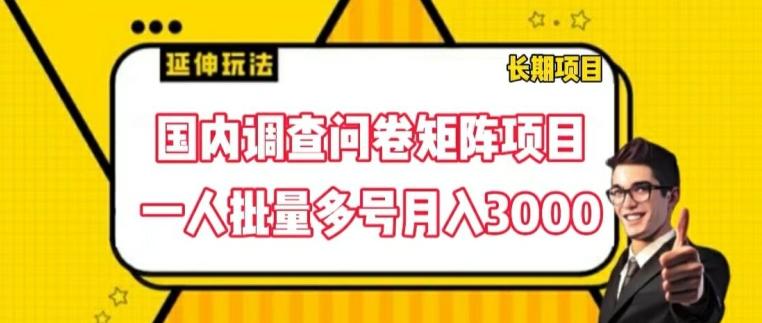 国内调查问卷矩阵项目，一人批量多号月入3000【揭秘】网赚项目-副业赚钱-互联网创业-资源整合羊师傅网赚