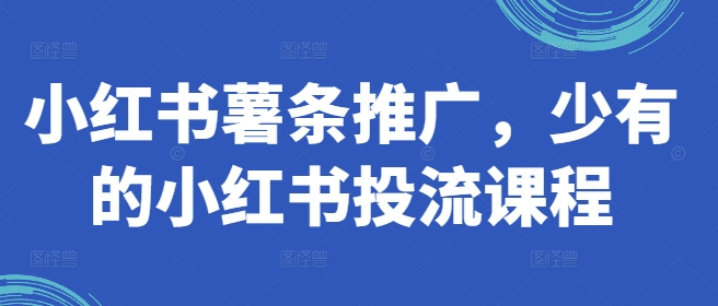 小红书薯条推广，少有的小红书投流课程网赚项目-副业赚钱-互联网创业-资源整合羊师傅网赚