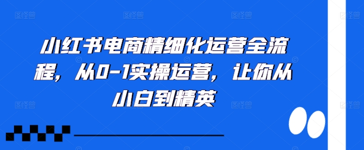 小红书电商精细化运营全流程，从0-1实操运营，让你从小白到精英网赚项目-副业赚钱-互联网创业-资源整合羊师傅网赚