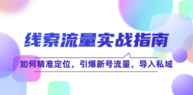 线 索 流 量-实战指南：如何精准定位，引爆新号流量，导入私域网赚项目-副业赚钱-互联网创业-资源整合羊师傅网赚