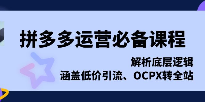 拼多多运营必备课程，解析底层逻辑，涵盖低价引流、OCPX转全站网赚项目-副业赚钱-互联网创业-资源整合羊师傅网赚