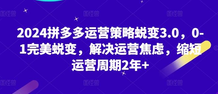 2024拼多多运营策略蜕变3.0，0-1完美蜕变，解决运营焦虑，缩短运营周期2年+网赚项目-副业赚钱-互联网创业-资源整合羊师傅网赚