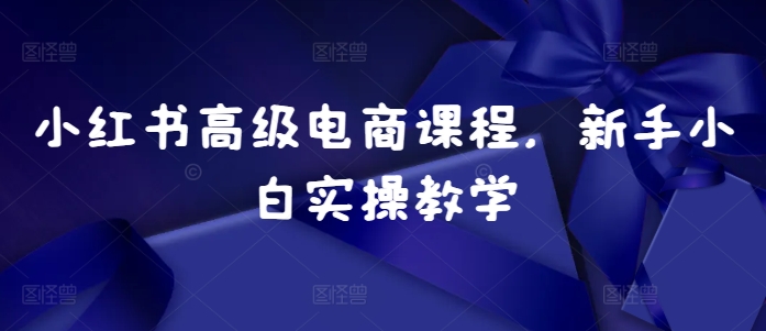 小红书高级电商课程，新手小白实操教学网赚项目-副业赚钱-互联网创业-资源整合羊师傅网赚