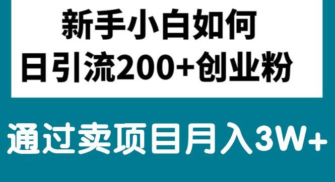 新手小白日引流200+创业粉,通过卖项目月入3W+网赚项目-副业赚钱-互联网创业-资源整合羊师傅网赚