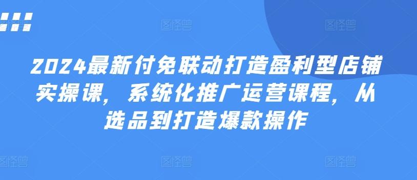 2024最新付免联动打造盈利型店铺实操课，​系统化推广运营课程，从选品到打造爆款操作网赚项目-副业赚钱-互联网创业-资源整合羊师傅网赚