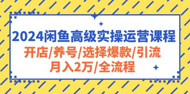 2024闲鱼高级实操运营课程：开店/养号/选择爆款/引流/月入2万/全流程网赚项目-副业赚钱-互联网创业-资源整合羊师傅网赚