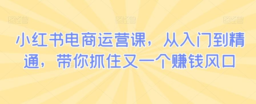 小红书电商运营课，从入门到精通，带你抓住又一个赚钱风口网赚项目-副业赚钱-互联网创业-资源整合羊师傅网赚