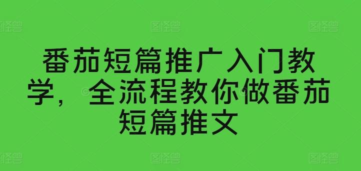 番茄短篇推广入门教学，全流程教你做番茄短篇推文网赚项目-副业赚钱-互联网创业-资源整合羊师傅网赚