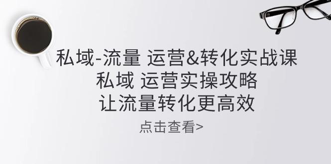 私域-流量 运营&转化实操课：私域 运营实操攻略 让流量转化更高效网赚项目-副业赚钱-互联网创业-资源整合羊师傅网赚